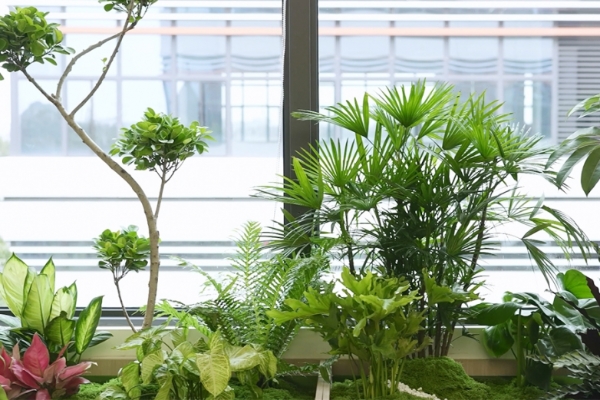 8000㎡ 全维换新！剑平动平衡机新研发总部藏着办公与人文的双向奔赴 