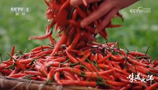 《味道大师》央视收官：为讲好“中国味道”故事提供新范式