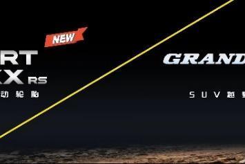 锚定渠道 聚力破局：2026邓禄普轮胎价值链共创大会圆满召开 