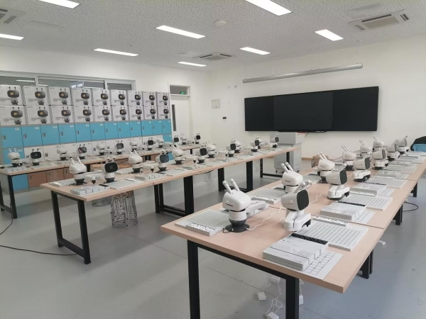 落地数十所学校，元萝卜“AI进校园”为校园素质教育注入科技活力 