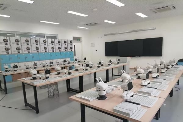 落地数十所学校，元萝卜“AI进校园”为校园素质教育注入科技活力 
