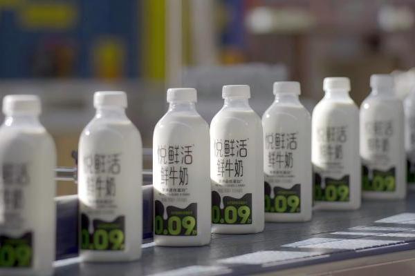 君乐宝叩响港交所 锚定乳业长期增长新征程 