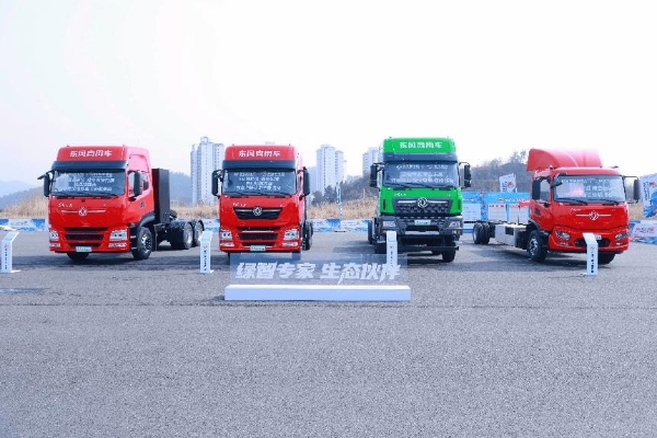 天龙哥十年盛典 打出新能源生态与产品组合拳 