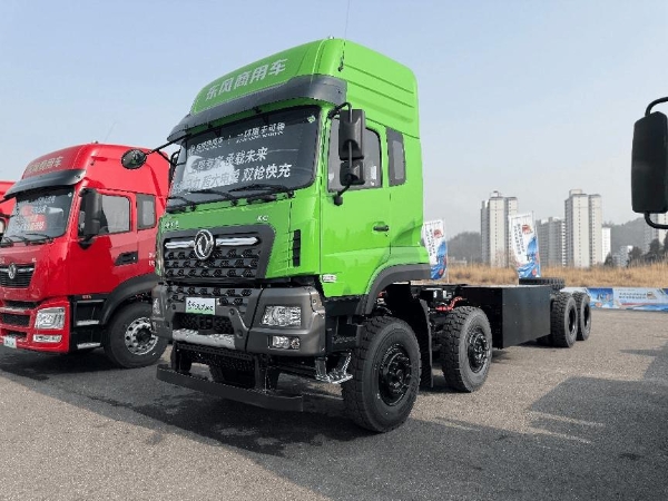 天龙哥十年盛典 打出新能源生态与产品组合拳 