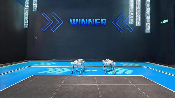 硅基伙伴闹新春！杭州机器人梦工厂成春节顶流打卡地 