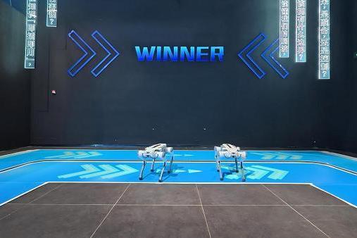 硅基伙伴闹新春！杭州机器人梦工厂成春节顶流打卡地 