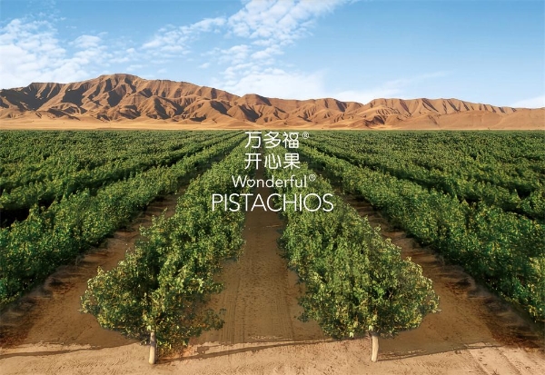 万多福®开心果x 丽江金茂隐逸酒店·凯悦臻选， 以开心旅途开启新春团圆序章 