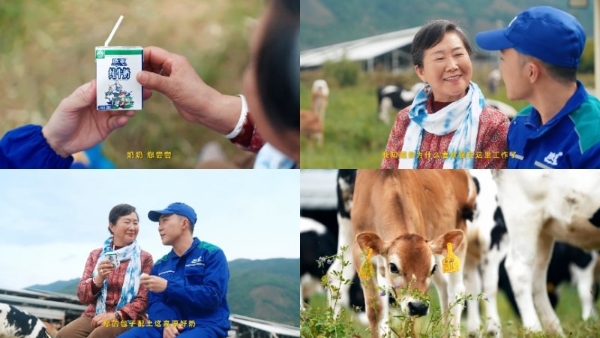 拒绝做系统的“牛马”，去云南做个“牧云人”：欧亚牛奶如何治愈都市人的精神内耗？ 