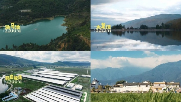 拒绝做系统的“牛马”，去云南做个“牧云人”：欧亚牛奶如何治愈都市人的精神内耗？ 