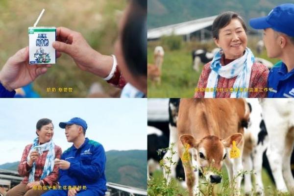 拒绝做系统的“牛马”，去云南做个“牧云人”：欧亚牛奶如何治愈都市人的精神内耗？ 