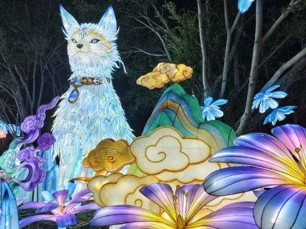 厦门新春亲子夜游热榜TOP5 园博苑灯会登顶 解锁童趣光影新体验