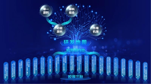 五个女博士以学术创新驱动，引领口服美容高质量发展