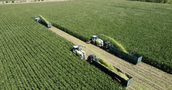 认养一头牛再添发明专利，以基因科技助力育种升级