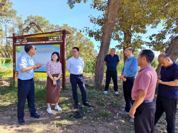 一面锦旗背后的八年草原情：华安保险精准帮扶内蒙古辉腾锡勒园区 