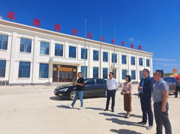 一面锦旗背后的八年草原情：华安保险精准帮扶内蒙古辉腾锡勒园区 