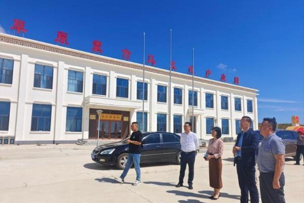 一面锦旗背后的八年草原情：华安保险精准帮扶内蒙古辉腾锡勒园区 