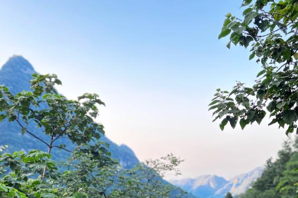 以“兴趣”为引，简橙太极开启银龄健康生活新方式 