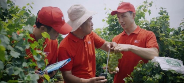 从填补空白到定义标准：葡口如何用8年重塑中国果肉果汁赛道 