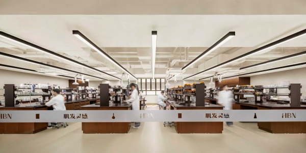 以基础科研为“压舱石”，HBN稳健驶向港股IPO 