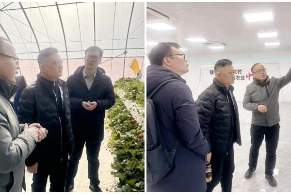 共探产业协同创新 | 兴嘉生物走访京瓦中心 