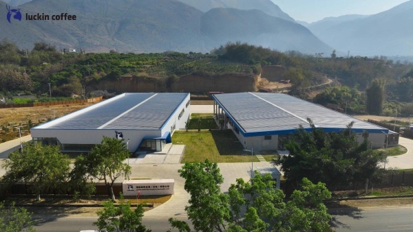 从9.9元到3万店，瑞幸8年跑出一个「咖啡日常化」的中国范本 