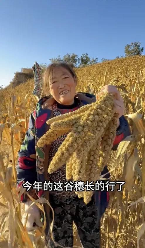 吕梁兄弟直播卖土豆：77万网友追更的现实版《平凡的世界》 