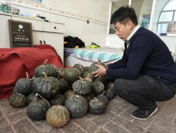 吕梁兄弟直播卖土豆：77万网友追更的现实版《平凡的世界》 