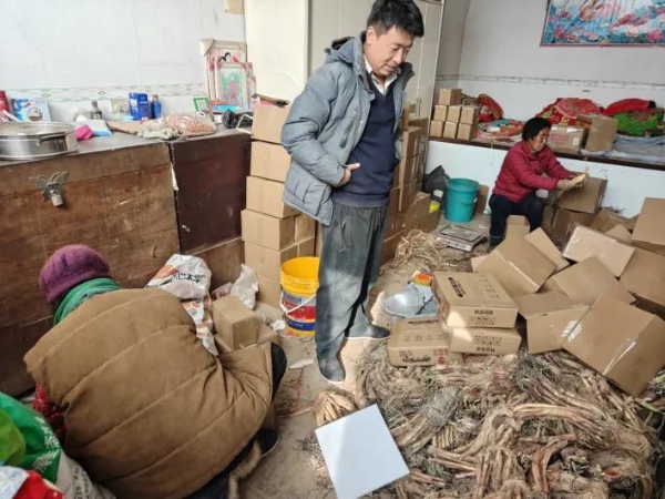 吕梁兄弟直播卖土豆：77万网友追更的现实版《平凡的世界》 