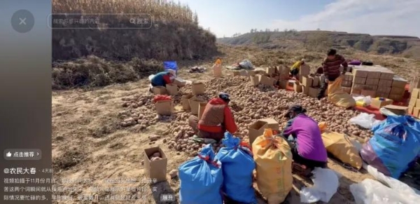 吕梁兄弟直播卖土豆：77万网友追更的现实版《平凡的世界》 