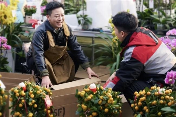 史上最长春节，顺丰如何用“温度服务”重塑年味？ 
