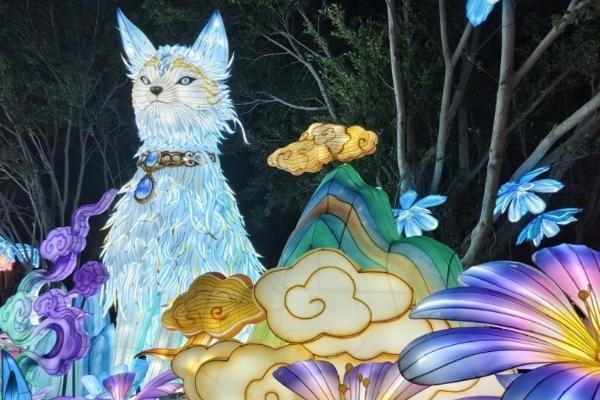 厦门新春亲子夜游热榜TOP5 园博苑灯会登顶 解锁童趣光影新体验