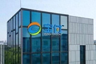 宝付支付构筑高品质支付服务体系，成就行业标杆力量