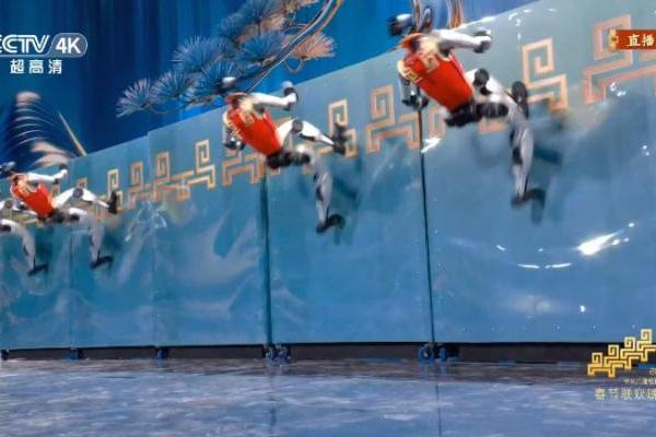 以武会春，宇树春晚机器人马年秀出“赛博真功夫”