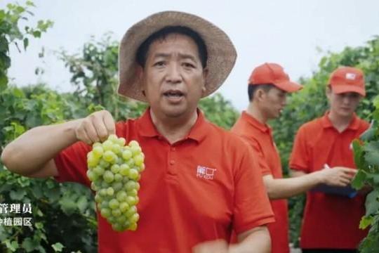 从填补空白到定义标准：葡口如何用8年重塑中国果肉果汁赛道 