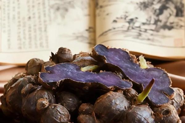 管理新纪元｜身材管理进入“第三代”：为何“聚焦局部”比“关注全身”更科学？