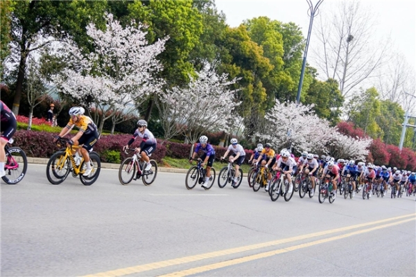  2026中国公路自行车公开赛（湖北枝江站）鸣枪开赛 千名车手竞速“三峡水乡” 