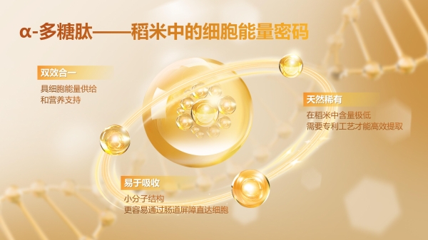 从稻米中发现新营养价值，米元力开启细胞营养新篇章 