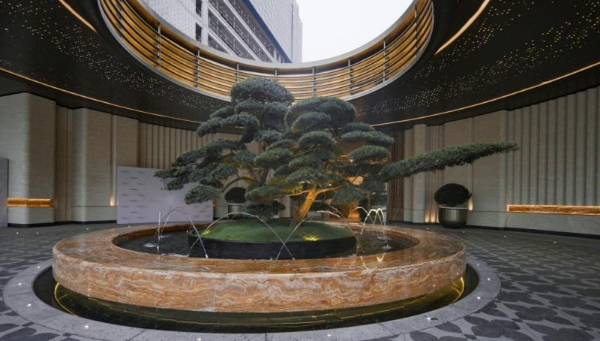 三开即将摇号！招商式传奇红盘热度继续！