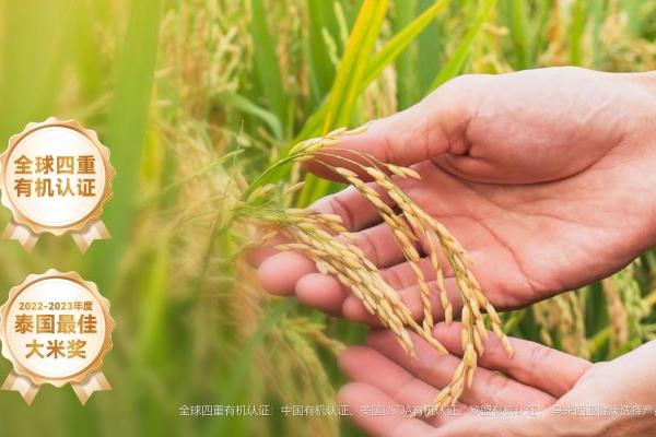 聚焦细胞级营养创新，米元力即将进入中国市场 