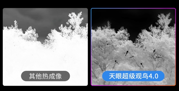 封神！中国热成像十大品牌崛起，凭什么打破国外垄断？ 