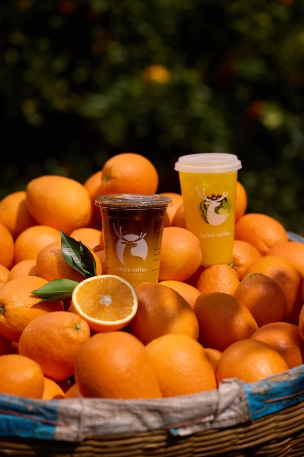 瑞幸开打“鲜活战”：9.9元不限量的底气就在“原产地” 