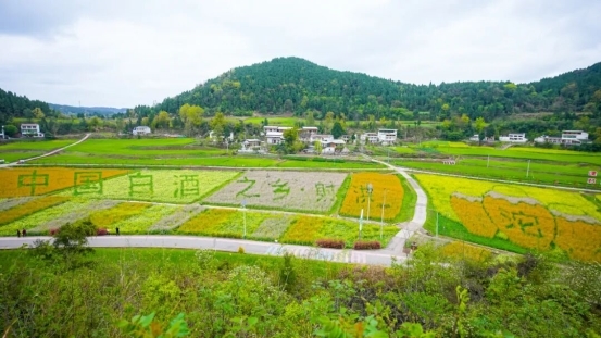 郭广昌密集“站台”：为什么是舍得？ 