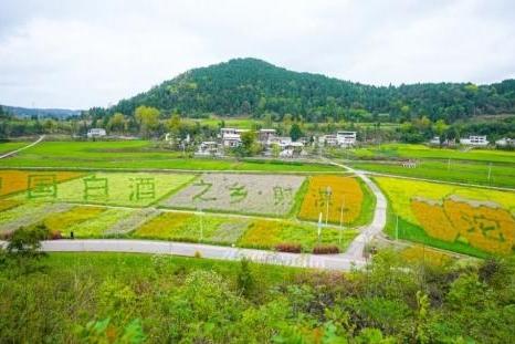 郭广昌密集“站台”：为什么是舍得？ 