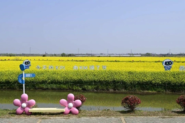 春日“启航”！2026协鑫集成·宜航芜湖马拉松燃情开跑 