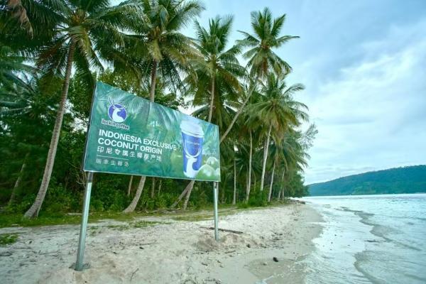 瑞幸生椰家族再扩容，上线限量版“一整颗生椰”新品 