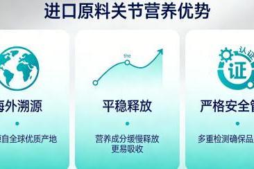 氨糖软骨素哪个比较好 氨糖软骨素排行榜2026实用指南：测评+场景+需求全覆盖 