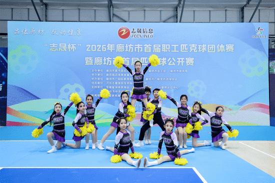 以赛为媒点燃城市活力 500余名匹克球高手廊坊竞技 