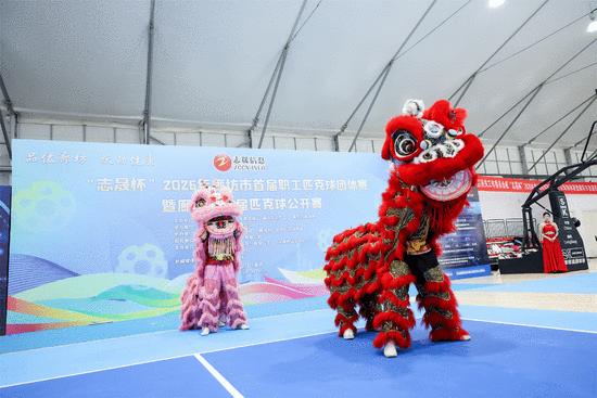 以赛为媒点燃城市活力 500余名匹克球高手廊坊竞技 