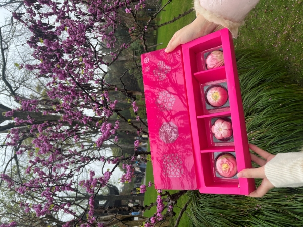 从观前街到拙政园：253岁稻香村“潮”出圈 