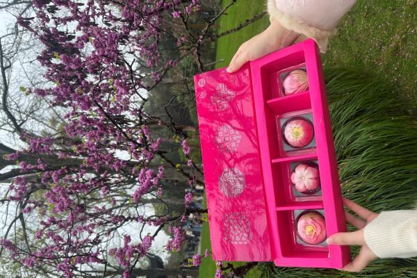 从观前街到拙政园：253岁稻香村“潮”出圈 